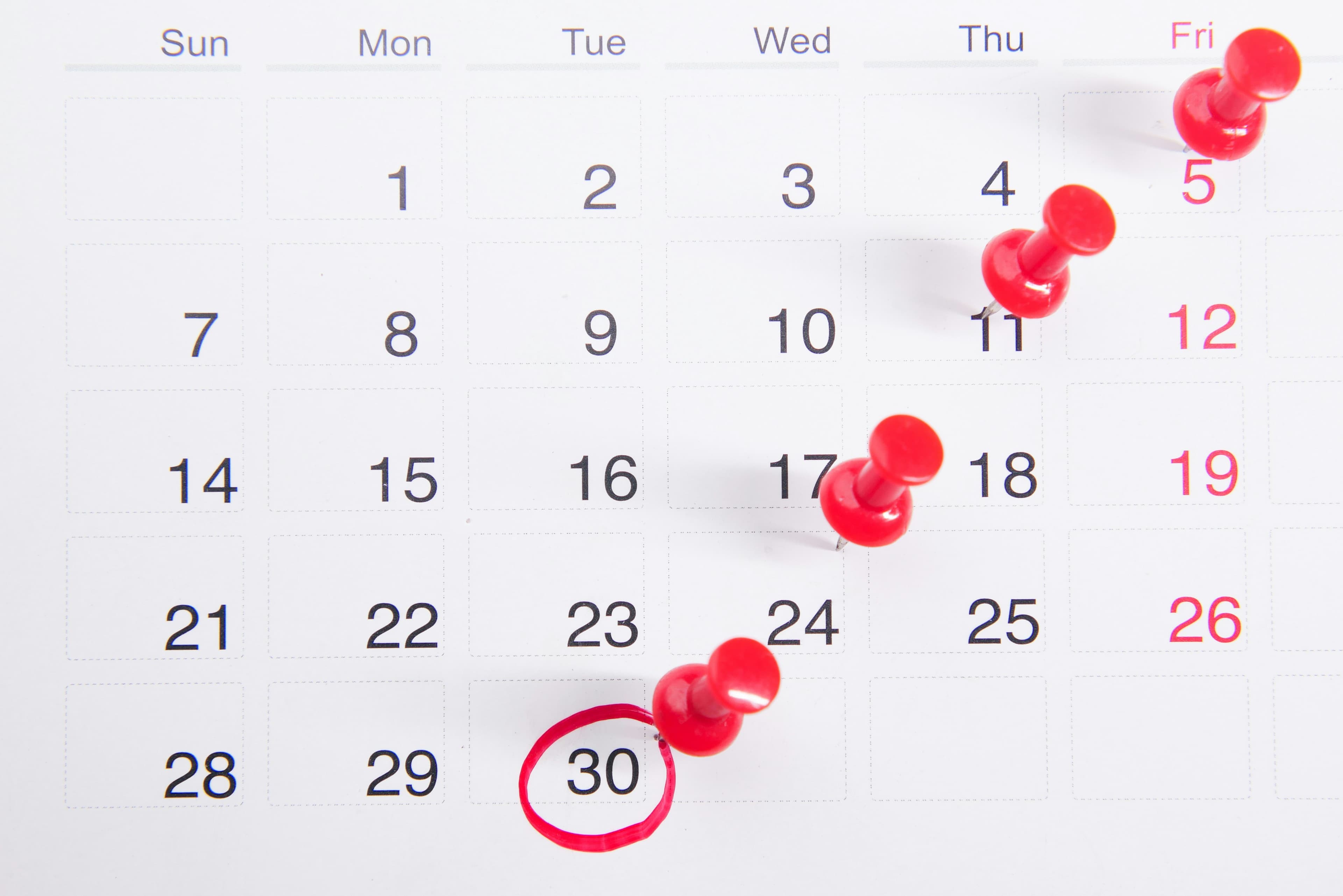 Calendario Da Vinci School